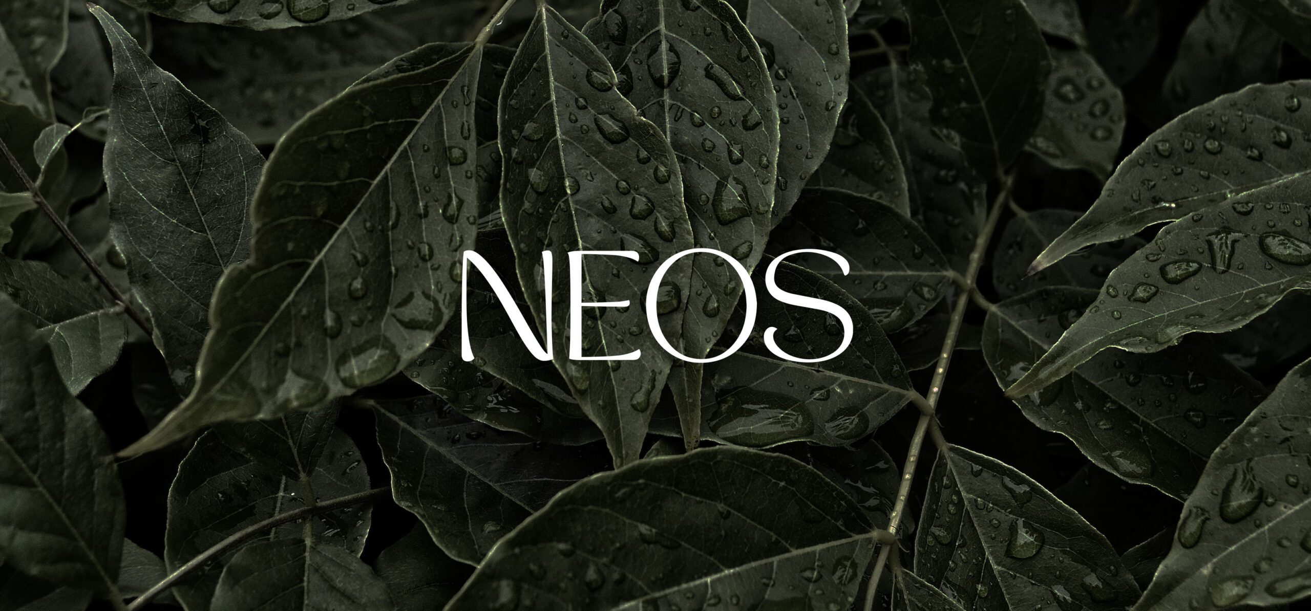 Neos